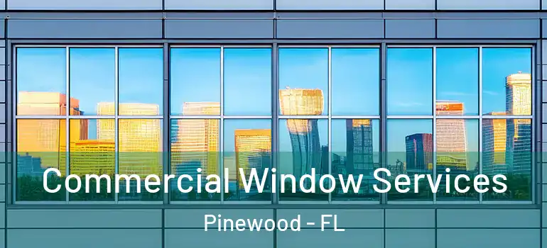 Commercial Window Services Pinewood - FL
