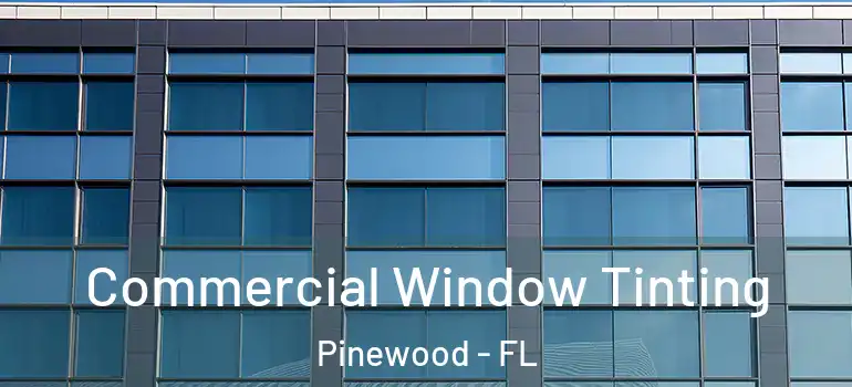  Commercial Window Tinting Pinewood - FL