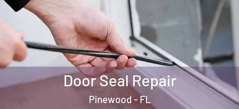 Door Seal Repair Pinewood - FL