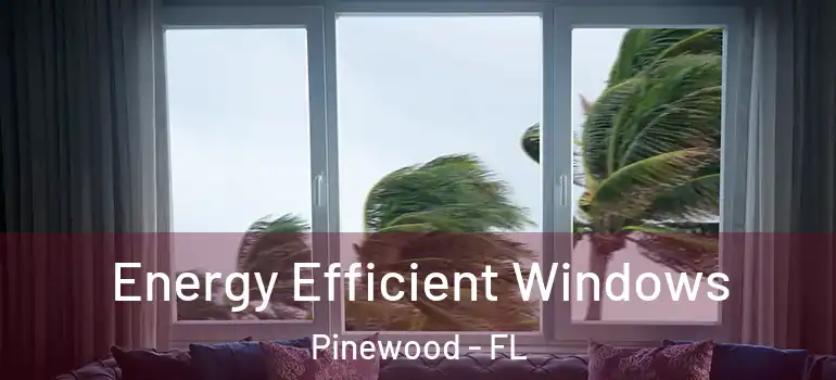 Energy Efficient Windows Pinewood - FL