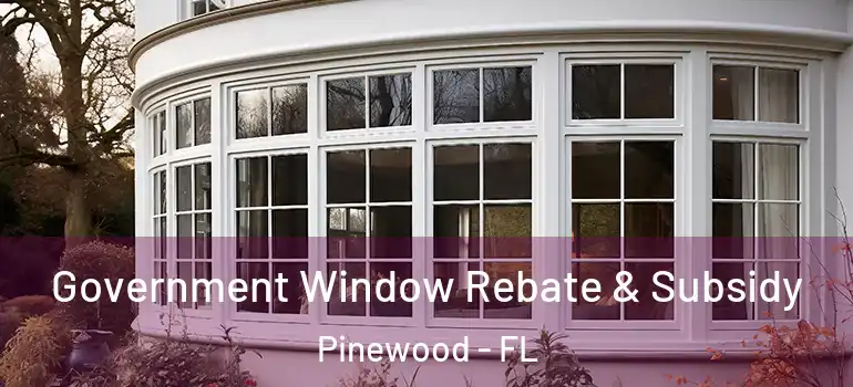 Government Window Rebate & Subsidy Pinewood - FL