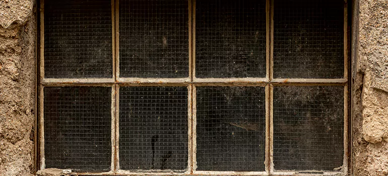 Traditional Double Front Doors in Pinewood, FL