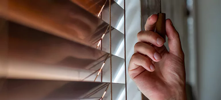 Double Roller Blinds in Pinewood, FL