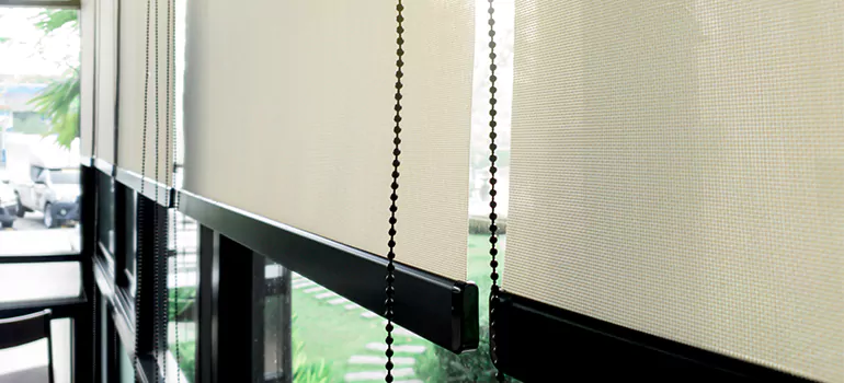 Blackout Window Shades in Pinewood, FL