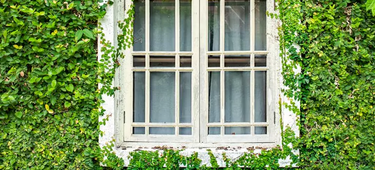 Garden Window Repair Near Me in Pinewood, FL