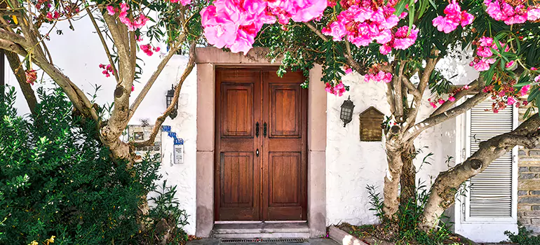 Traditional 4 Panel Internal Doors in Pinewood, FL