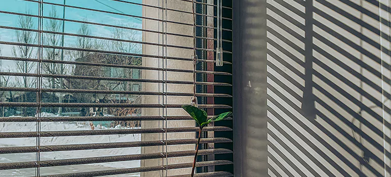 Commercial Window Blinds in Pinewood, FL