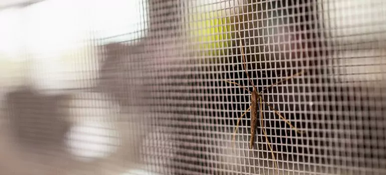 Repair Mosquito Mesh For Windows in Pinewood, FL