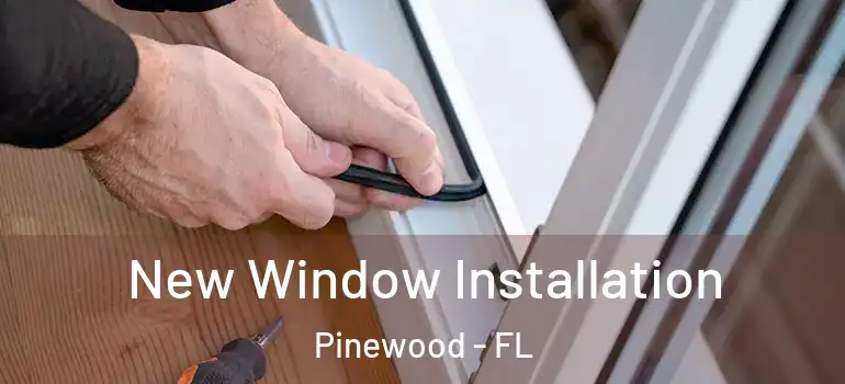 New Window Installation Pinewood - FL