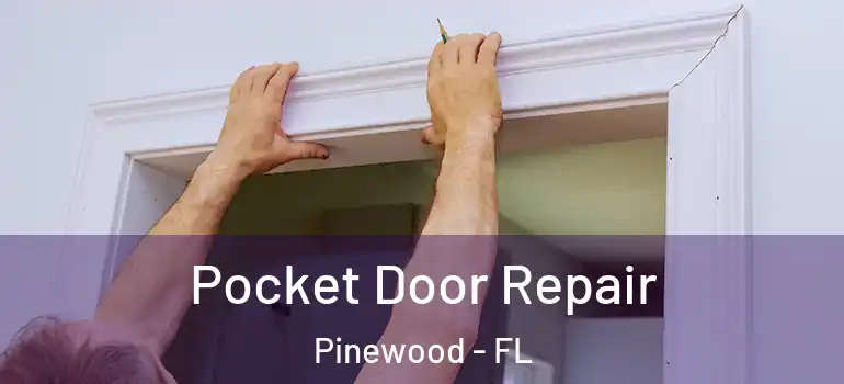 Pocket Door Repair Pinewood - FL
