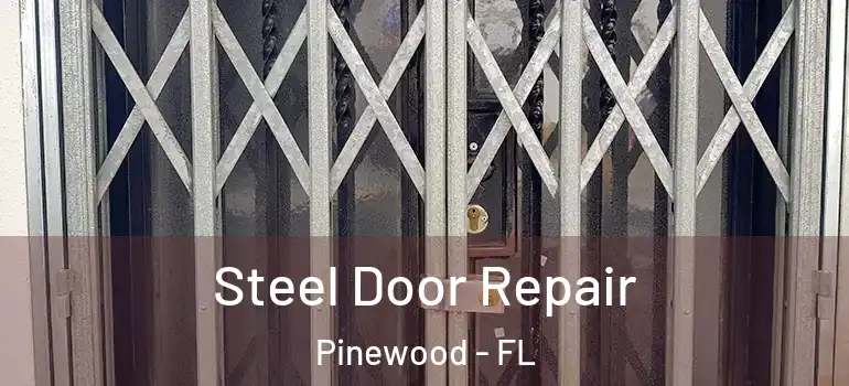 Steel Door Repair Pinewood - FL
