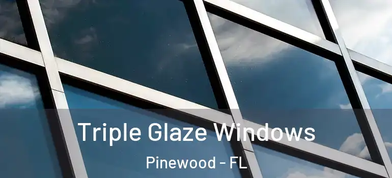 Triple Glaze Windows Pinewood - FL