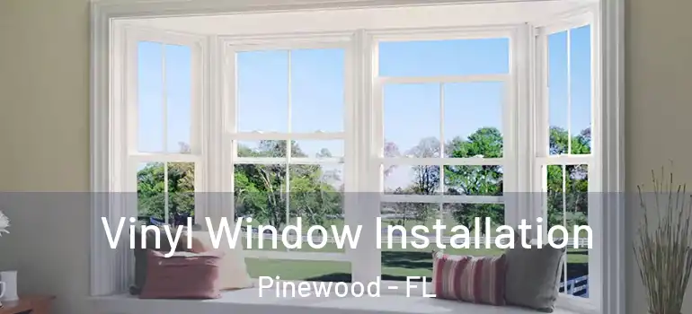 Vinyl Window Installation Pinewood - FL
