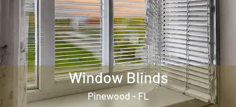 Window Blinds Pinewood - FL
