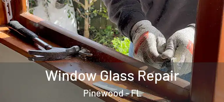 Window Glass Repair Pinewood - FL
