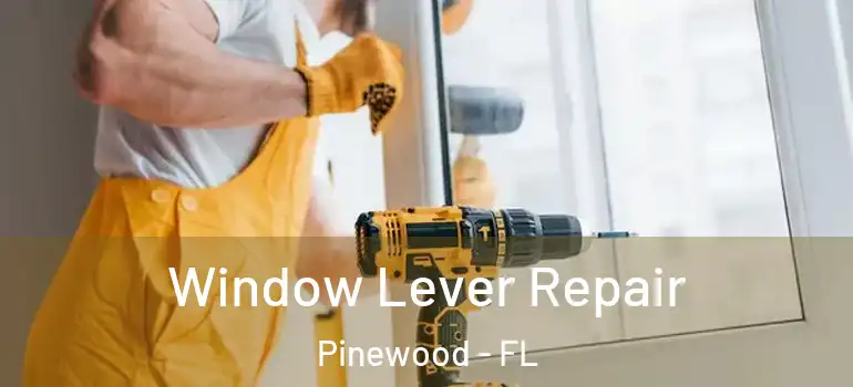 Window Lever Repair Pinewood - FL