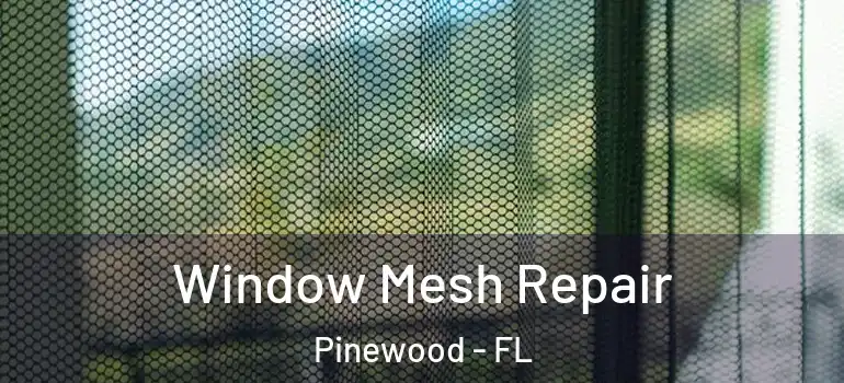 Window Mesh Repair Pinewood - FL