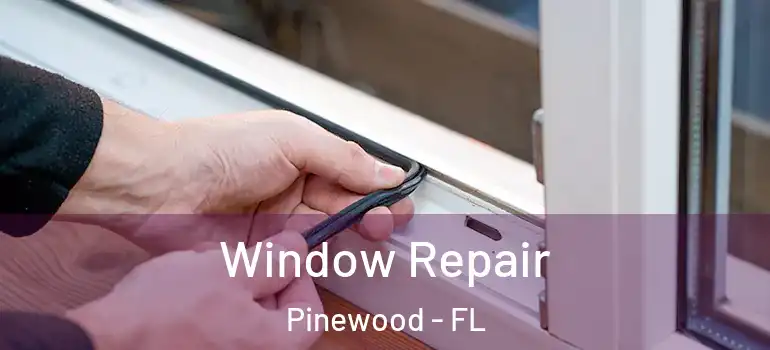 Window Repair Pinewood - FL