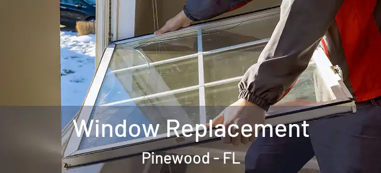 Window Replacement Pinewood - FL