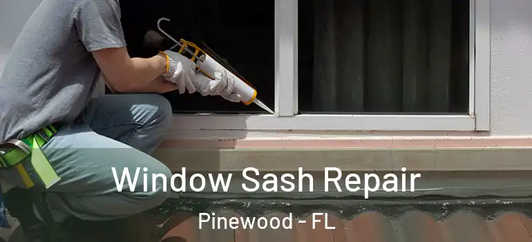 Window Sash Repair Pinewood - FL