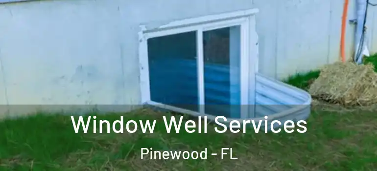 Window Well Services Pinewood - FL
